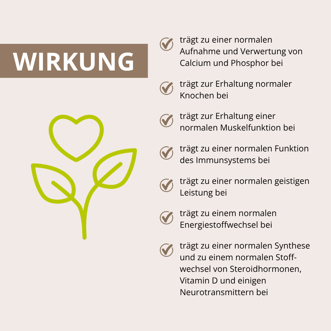 Wechseljahre Vitalpilz-Komplex+ 60 Kapseln