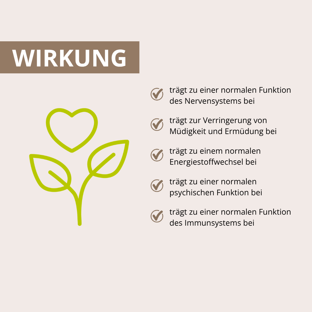 Vitalpilz Kakao 160 g