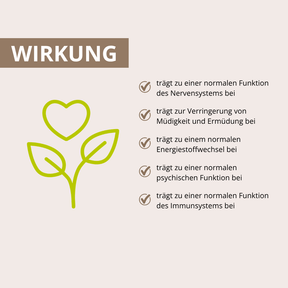 Vitalpilz Kakao 160 g