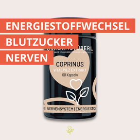 Coprinus Vitalpilzextrakt 60 Kapseln