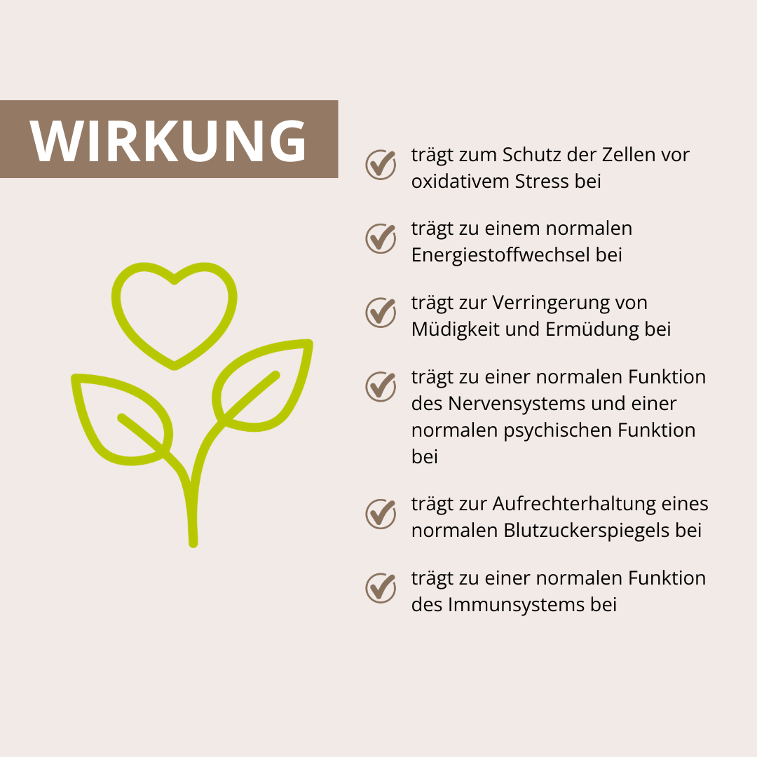 Coprinus Vitalpilzextrakt 60 Kapseln