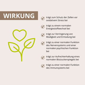 Coprinus Vitalpilzextrakt 60 Kapseln