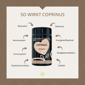 Coprinus Vitalpilzextrakt 60 Kapseln