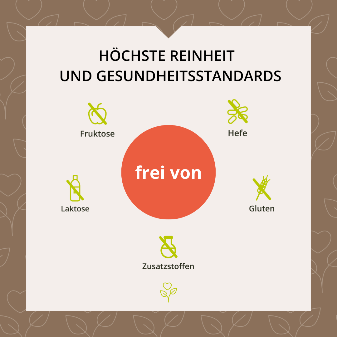 Coprinus Vitalpilzextrakt 60 Kapseln