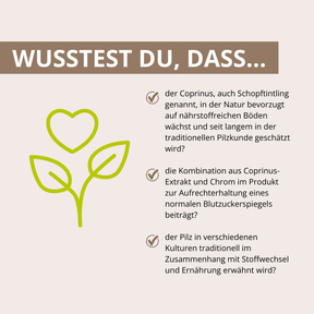 Coprinus Vitalpilzextrakt 60 Kapseln