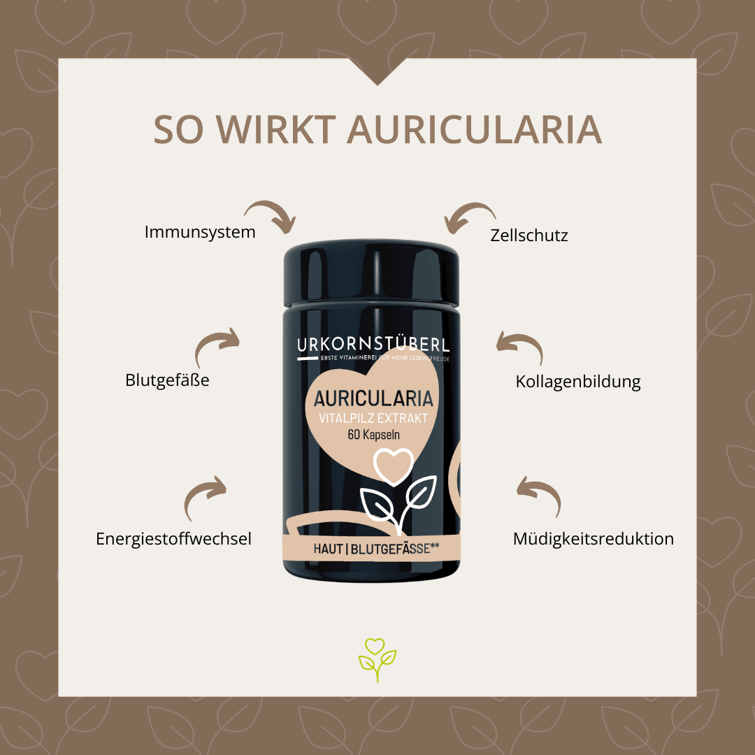 Auricularia Vitalpilzextrakt 60 Kapseln