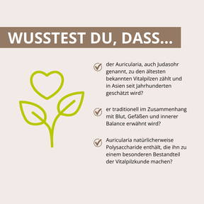 Auricularia Vitalpilzextrakt 60 Kapseln