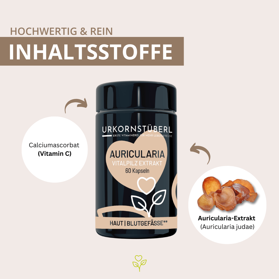 Auricularia Vitalpilzextrakt 60 Kapseln