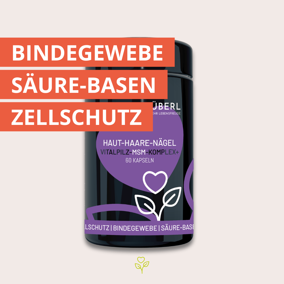 Haut-Haare-Nägel Vitalpilz-MSM-Komplex+ 60 Kapseln