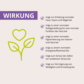 Haut-Haare-Nägel Vitalpilz-MSM-Komplex+ 60 Kapseln