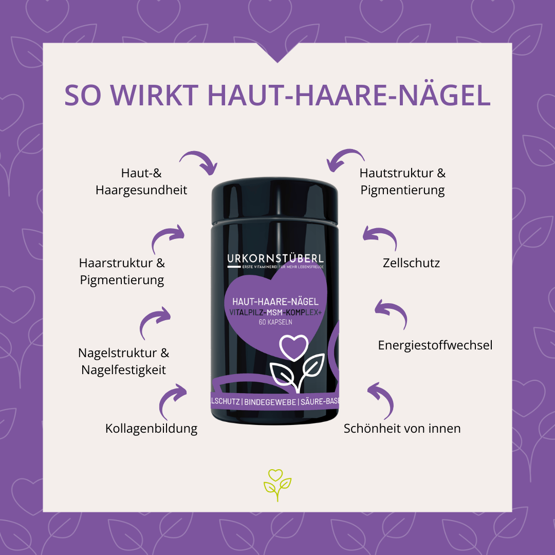 Haut-Haare-Nägel Vitalpilz-MSM-Komplex+ 60 Kapseln