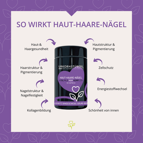 Haut-Haare-Nägel Vitalpilz-MSM-Komplex+ 60 Kapseln