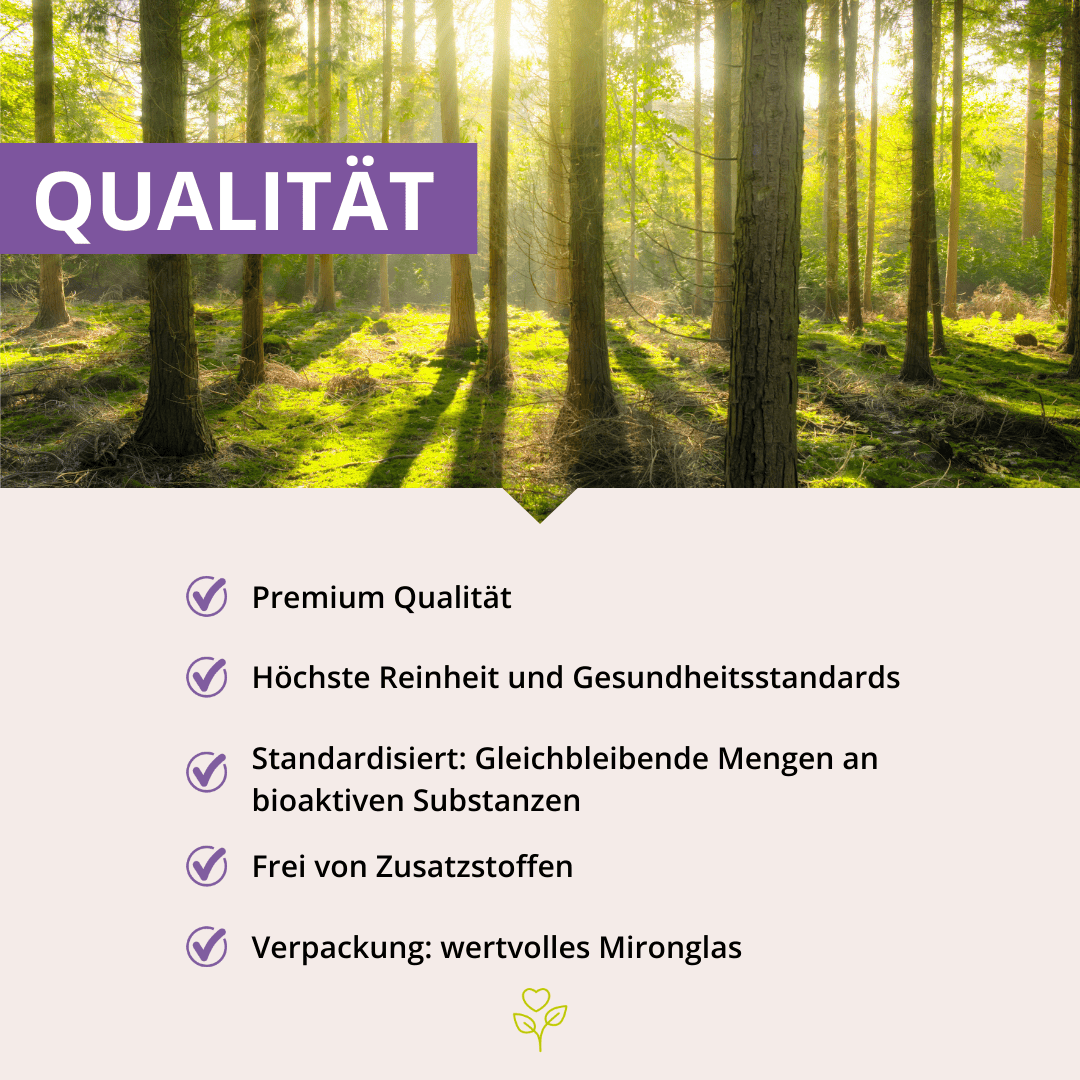 Haut-Haare-Nägel Vitalpilz-MSM-Komplex+ 60 Kapseln