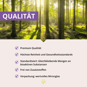 Haut-Haare-Nägel Vitalpilz-MSM-Komplex+ 60 Kapseln