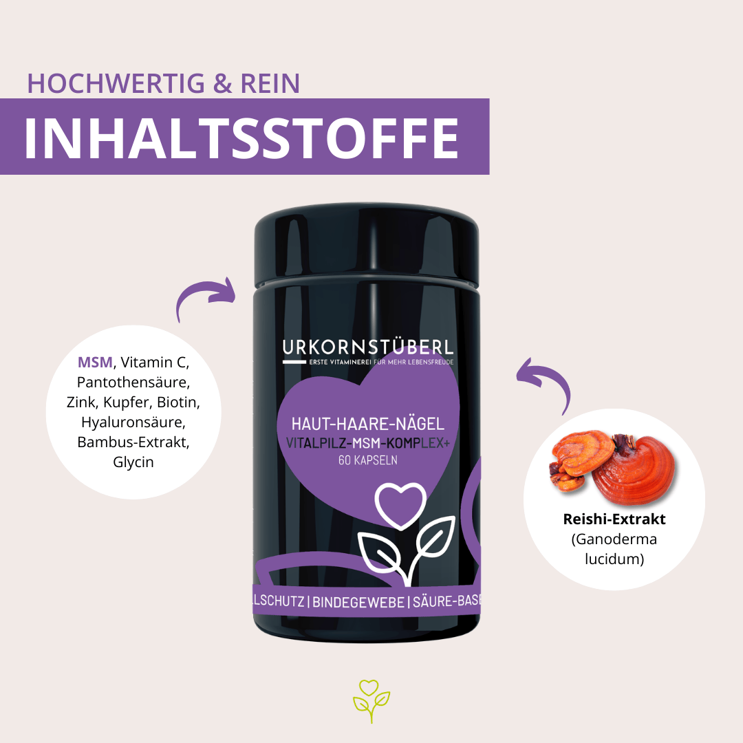 Haut-Haare-Nägel Vitalpilz-MSM-Komplex+ 60 Kapseln