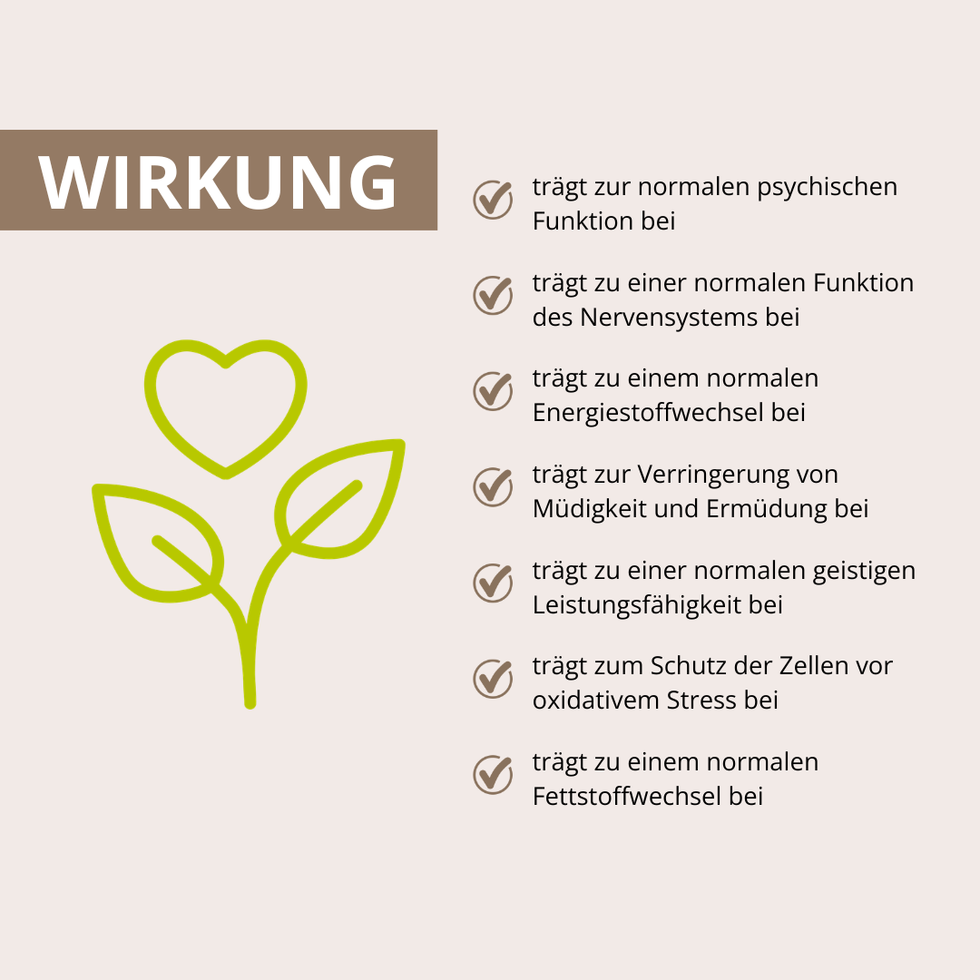 Gedächtnis-Leistung Vitalpilz-Komplex+ 60 Kapseln