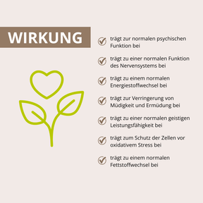 Gedächtnis-Leistung Vitalpilz-Komplex+ 60 Kapseln