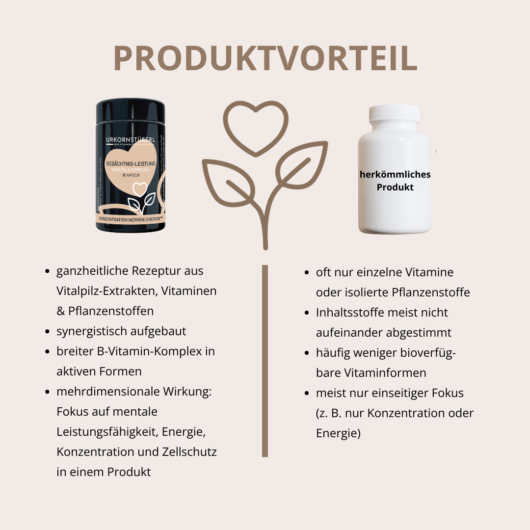 Gedächtnis-Leistung Vitalpilz-Komplex+ 60 Kapseln