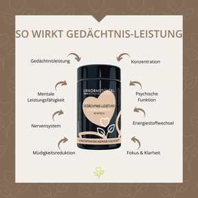 Gedächtnis-Leistung Vitalpilz-Komplex+ 60 Kapseln
