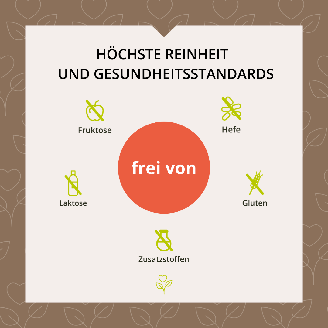 Gedächtnis-Leistung Vitalpilz-Komplex+ 60 Kapseln