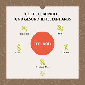 Gedächtnis-Leistung Vitalpilz-Komplex+ 60 Kapseln