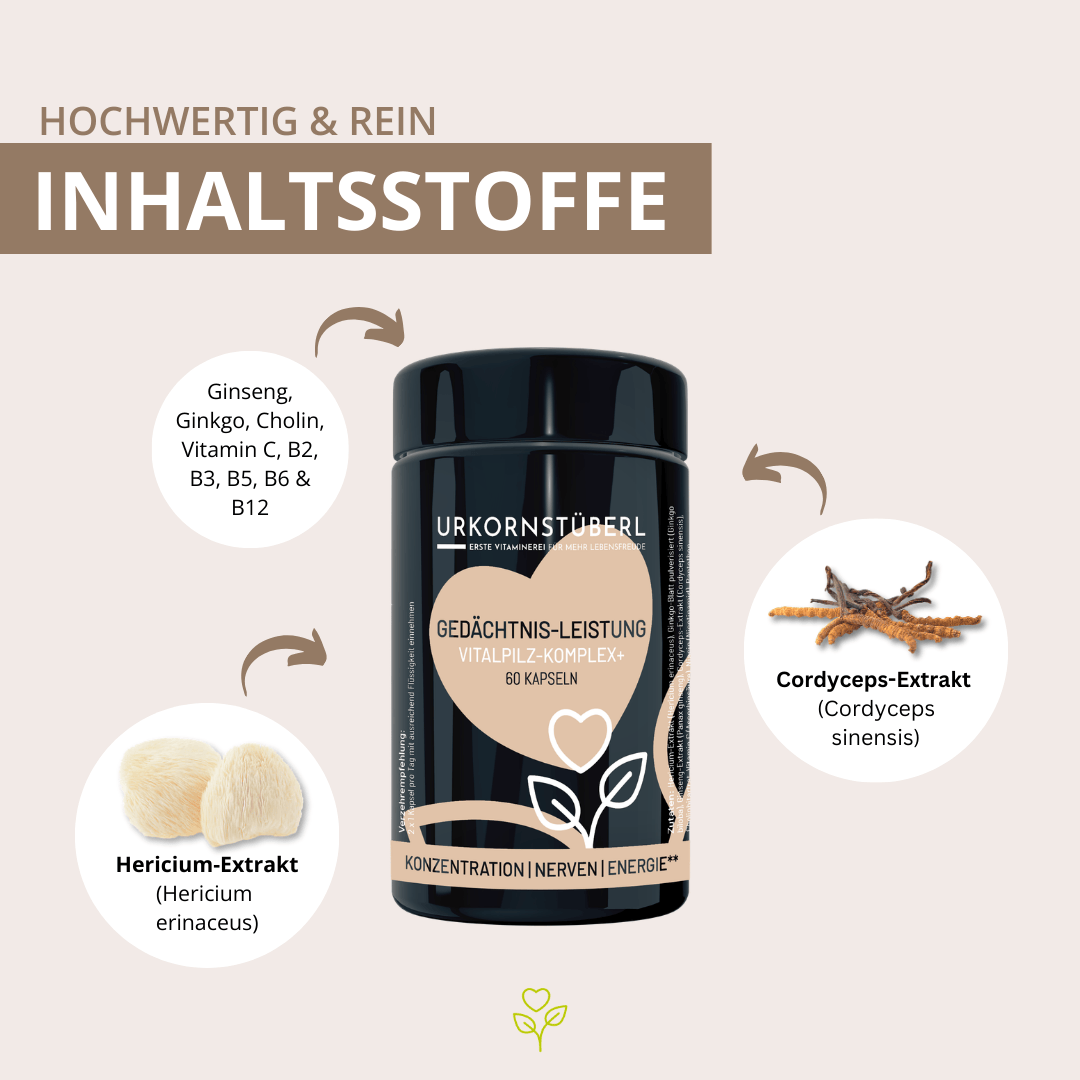 Gedächtnis-Leistung Vitalpilz-Komplex+ 60 Kapseln