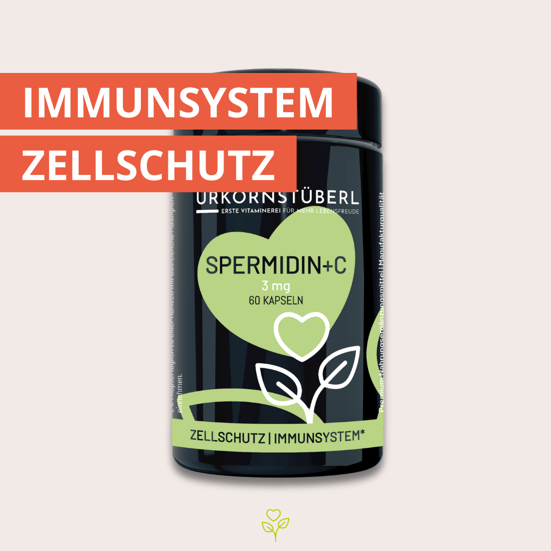 Spermidin+C 60 Kapseln