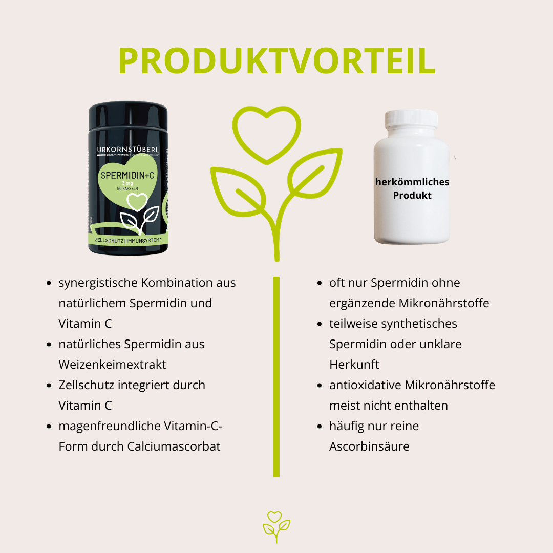 Spermidin+C 60 Kapseln