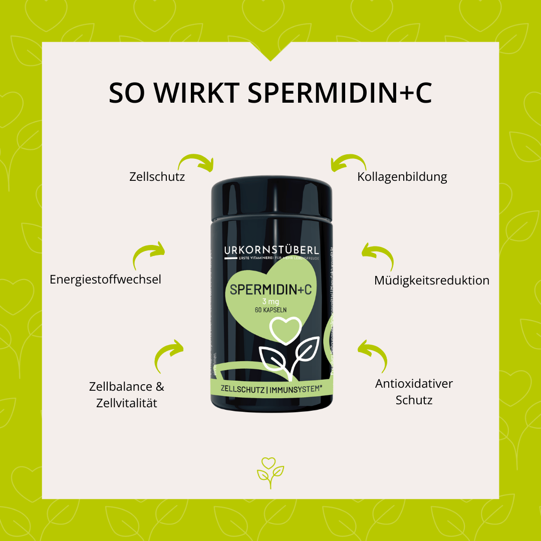 Spermidin+C 60 Kapseln