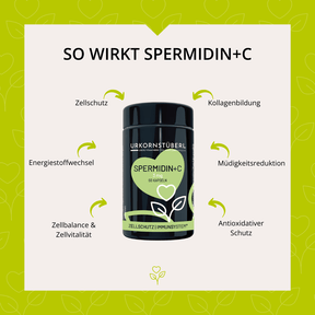 Spermidin+C 60 Kapseln
