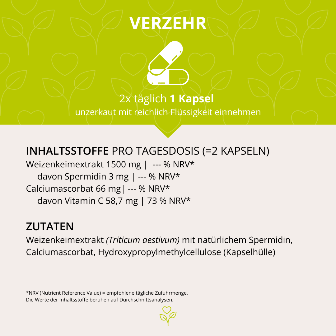 Spermidin+C 60 Kapseln