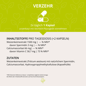 Spermidin+C 60 Kapseln