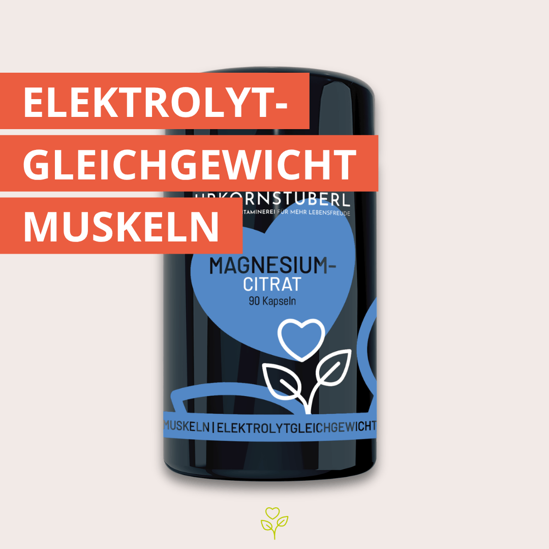Magnesiumcitrat 90 Kapseln
