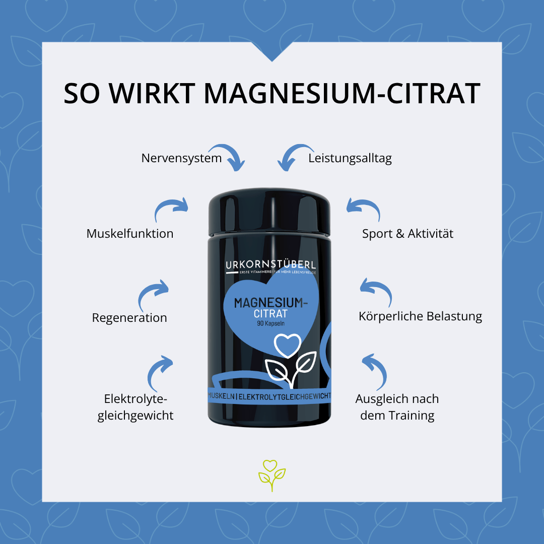 Magnesiumcitrat 90 Kapseln
