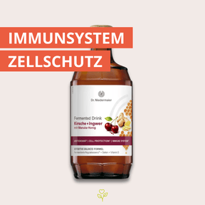Fermented Drink Kirsche+Ingwer mit Manuka-Honig 350 ml