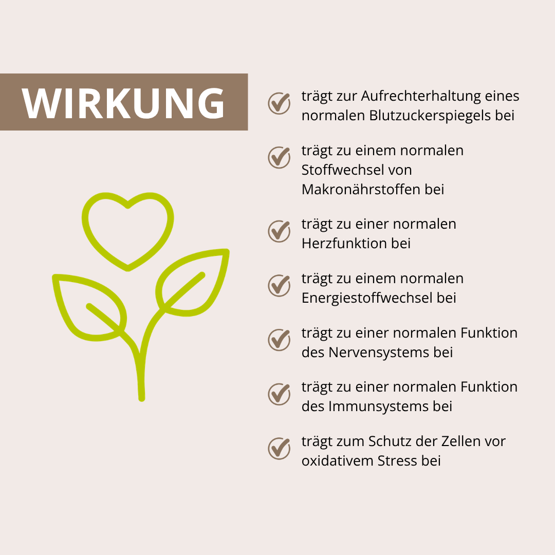 Blutzucker Vitalpilz-Komplex 60 Kapseln