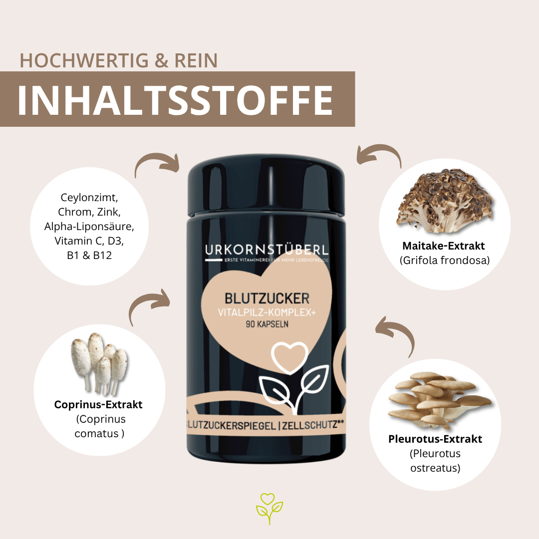 Blutzucker Vitalpilz-Komplex 60 Kapseln