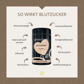 Blutzucker Vitalpilz-Komplex 60 Kapseln