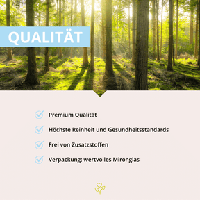 Ruhe-Pol NACHT 60 Kapseln