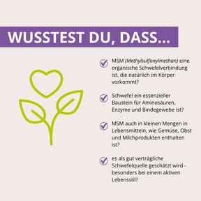 Großes Schwefelset - Innen & Außen