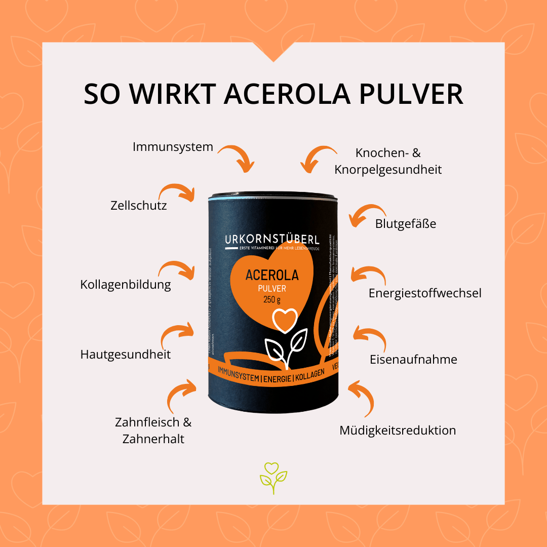 MSM + Acerola Pulver Set 2