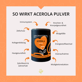 MSM + Acerola Pulver Set 2