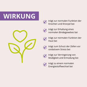 360° Bewegungsfreude-Set mit MSM+C, Magnesium & Vitamin D3-K2