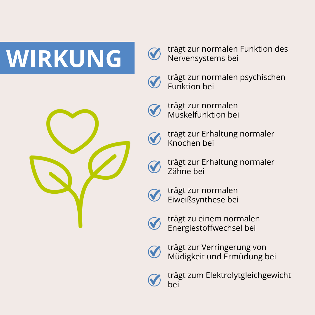 360° Bewegungsfreude-Set mit MSM+C, Magnesium & Vitamin D3-K2