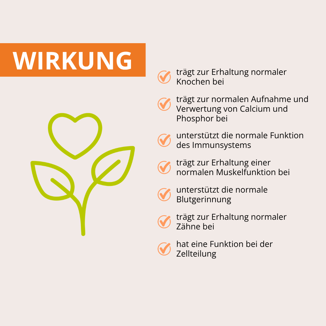 360° Bewegungsfreude-Set mit MSM+C, Magnesium & Vitamin D3-K2