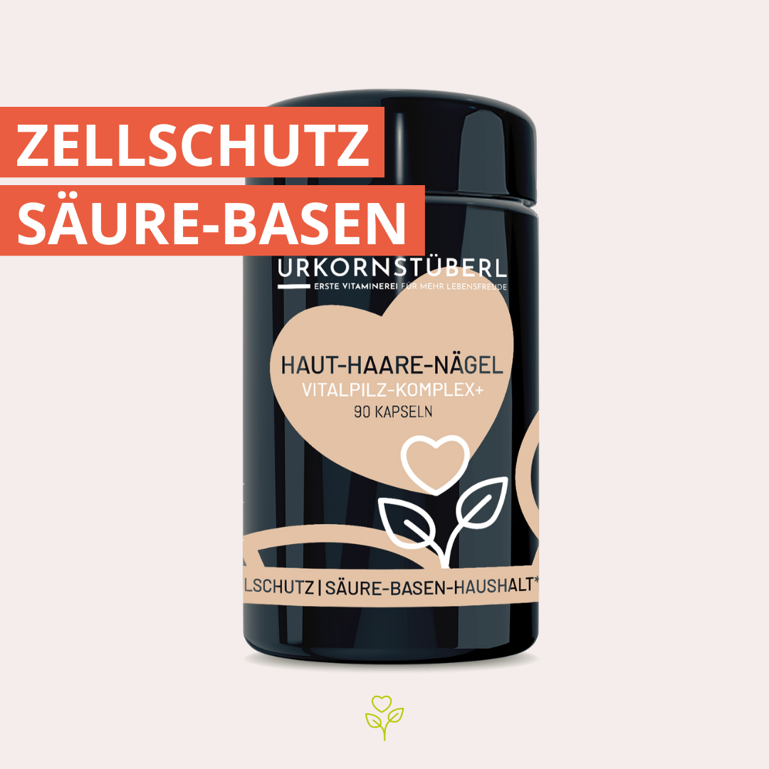 Haut Haare Nägel Vitalpilz-Komplex 90 Kapseln