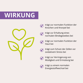 MSM+C Kapseln 180 Stück