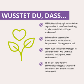 MSM+C Kapseln 180 Stück