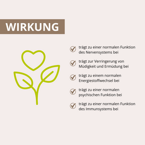 Vitalpilz Kakao 160 g