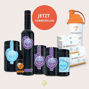DarmDetox Aktionsset